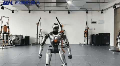 4. PM01 Whole-Body Control